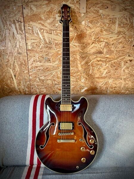 ☆レア美品☆EDWARDS ESP ESA120F コンパクトなセミアコ 女性にもオススメ