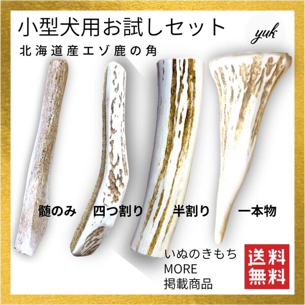 遊び比べ 小型犬用 鹿の角4本お試しセット 髄のみ&四つ割り&半割り&一本物 鹿の角 鹿の骨 犬のおもちゃ