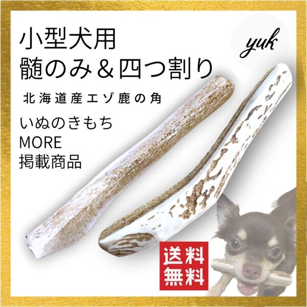 【鹿角初めてセット】小型犬用 髄のみ&四つ割りセット 犬のおもちゃ 鹿の角 鹿の骨