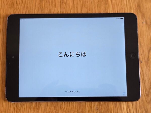 iPad mini 2 Wi-Fi+Cellular 128GB(ドコモ)