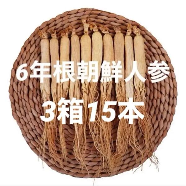 3箱♪6年根乾燥朝鮮人参 15本150g以上♪ 野生環境黒土露地栽培 高麗人参 参鶏湯 蜂蜜漬け朝鮮人参 薬膳料理 朝鮮人参酒