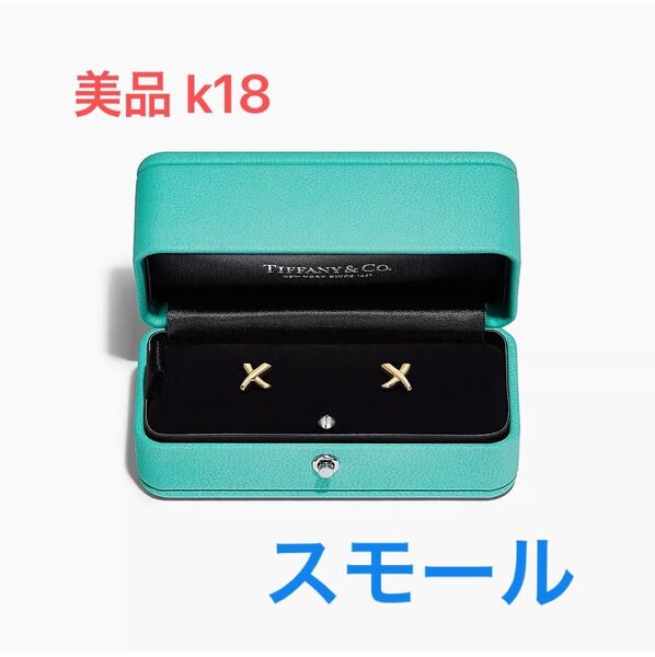 【美品】Tiffany & Co. パロマ・ピカソ グラフィティ X ピアス