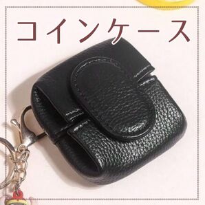 コインケース*