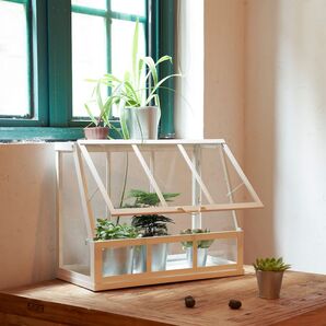 IKEA イケア 新商品 オーケルベール 温室 室内/屋外用 ディスプレイ