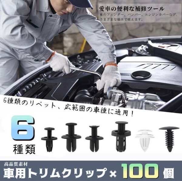 トリムクリップ リベット 100個 6種類 トリムクリップ バンパークリップ