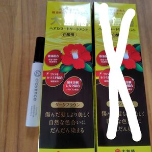大島椿ヘアカラートリートメント クレイエンス