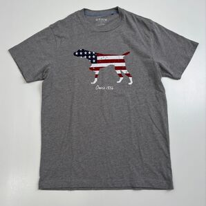 Orvis オービス Tシャツ アメリカ国旗柄 グレー メンズ M 半袖Tシャツ DOG 犬