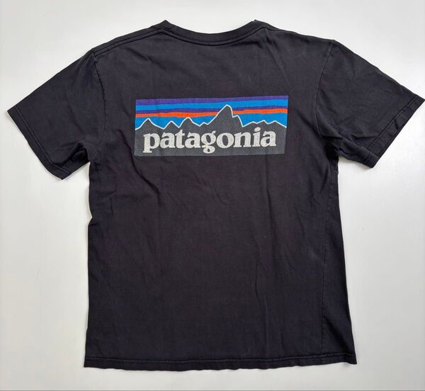 patagonia パタゴニア Tシャツ 黒 バックプリント 古着