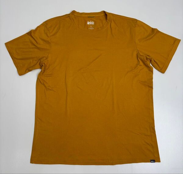 REI Co-op アールイーアイ 速乾 Tシャツ メンズ L アウトドア キャンプ 登山