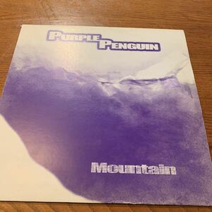 ★お勧め！PURPLE PENGUIN /Mountain★ 中古レコード　LPレコード