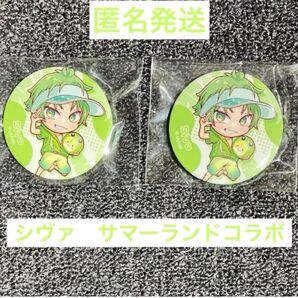 カラフルピーチ サマーランドコラボ シヴァ