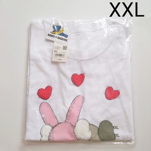 新品 XXL カウズ + ウォーホル KAWS Warhol ユニクロ UT 半袖 UNIQLO ユニクロ