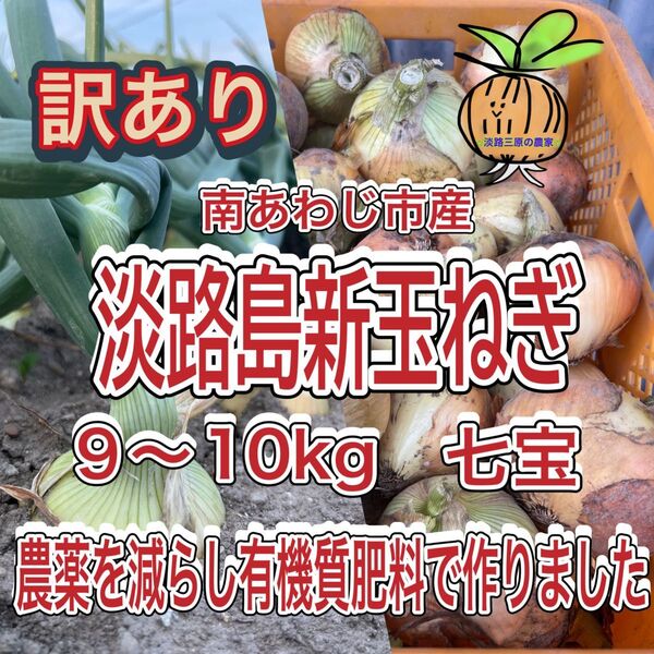 【10】淡路島玉ねぎ 南あわじ市産 訳あり 9〜10kg 七宝 ころ柿