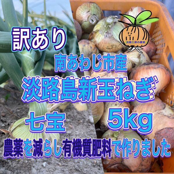 淡路島玉ねぎ 南あわじ市産 訳あり 5kg 七宝