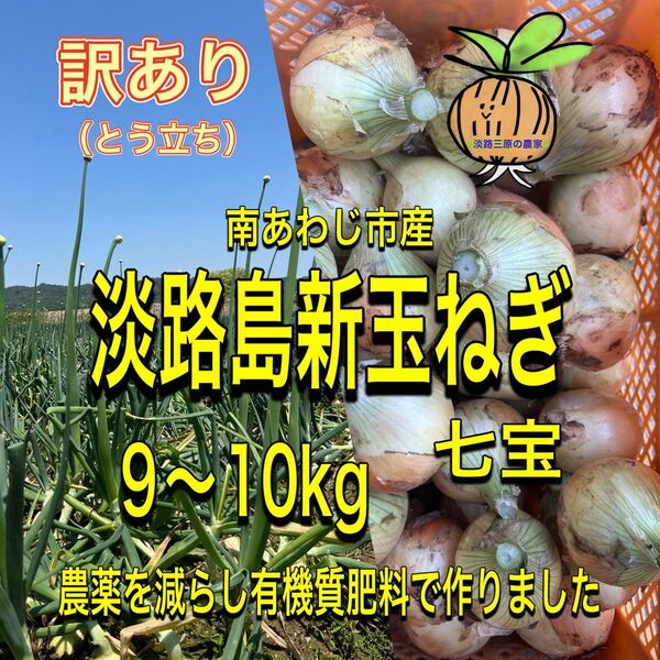 【立10】淡路島玉ねぎ 南あわじ市産 訳あり(とう立ち)9〜10kg
