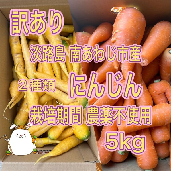 【2種人】淡路島産 訳あり 2種類 人参 にんじん 5kg