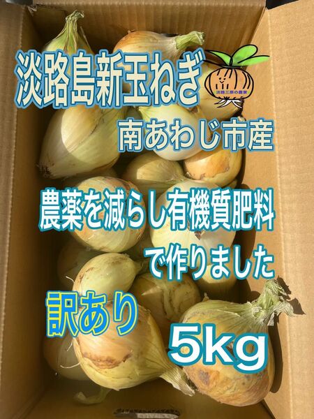 淡路島 新玉ねぎ 南あわじ市産 訳あり 5kg