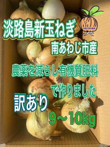 【10】淡路島 新玉ねぎ 南あわじ市産 訳あり 9〜10kg