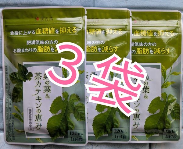 和漢の森 桑の葉&茶カテキンの恵み