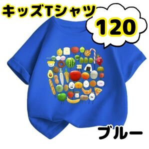 Tシャツ 120 キッズ 半袖 ひみつのおるすばん 子供 ロブロックス 人気 青 イラスト