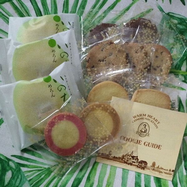 いのち ラグノオ 東北お菓子 銘菓 おやつ 期間限定 スイーツ 青森銘菓 お土産 メロン ステラおばさんのクッキー STELLA