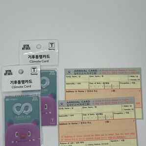 【現地入手困難】気候同行カード 2枚 韓国交通カード climate card おまけ入国カードつき