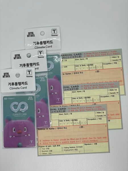 【現地入手困難】気候同行カード 3枚 韓国交通カード climate card おまけ入国カードつき