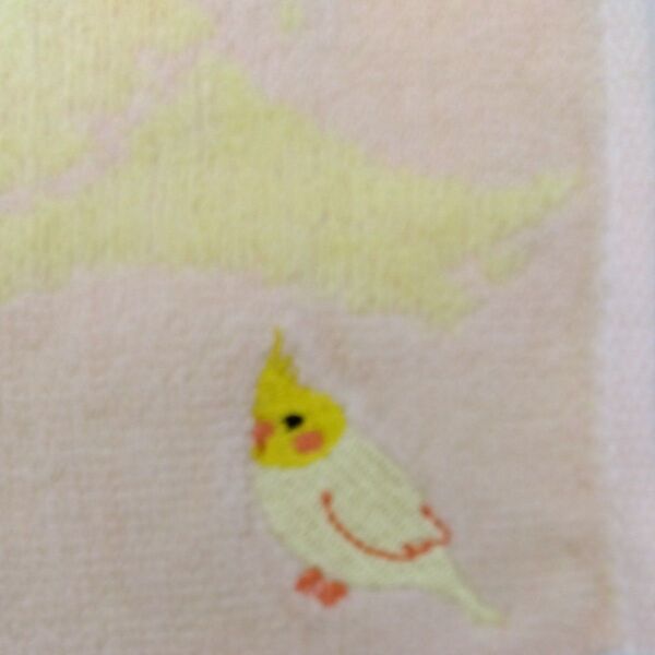 オカメインコ タオルハンカチ ピンク
