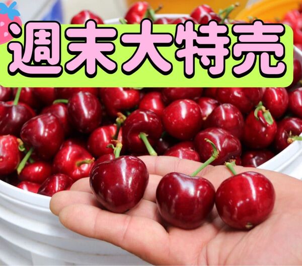 安心コンパクト便でお届け〜 箱込み1kg 新鮮チェリーアメリカンチェリー チェリー さくらんぼ 贈り物 お歳暮 お中元 土産