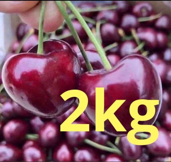 シーズン初入荷 箱込み1kg 大粒チェリー アメリカンチェリー チェリー さくらんぼ 贈り物 お歳暮 お中元 土産