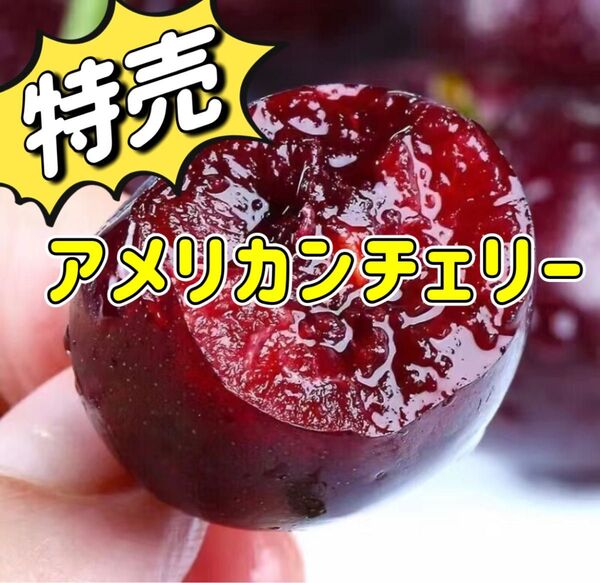 シーズン初入荷 箱込み1kg 大粒チェリー アメリカンチェリー チェリー さくらんぼ 贈り物 お歳暮 お中元 土産