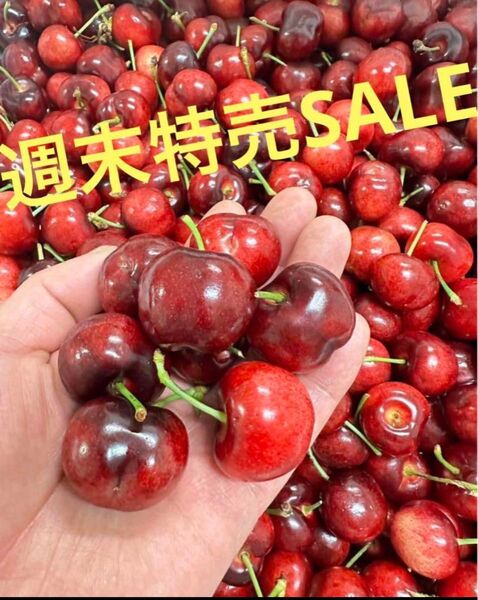 安心コンパクト便でお届け〜 箱込み1kg 新鮮チェリーアメリカンチェリー チェリー さくらんぼ 贈り物 お歳暮 お中元 土産