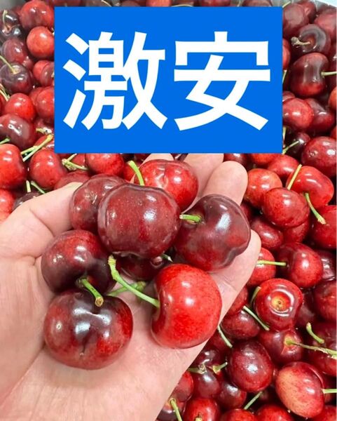 シーズン初入荷 箱込み1kg 大粒チェリー アメリカンチェリー チェリー さくらんぼ 贈り物 お歳暮 お中元 土産