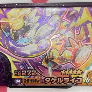 ポケモンフレンダ第5弾 タケルライコ スーパートレジャー