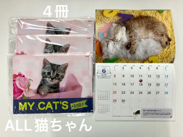 4冊どうぞ カレンダー 猫ちゃん 子猫 キャット 壁掛けカレンダー 猫 ねこ 2025 ネコ