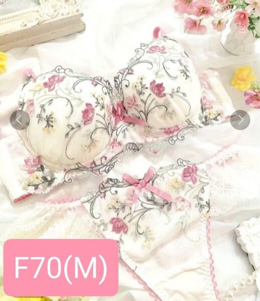 リサマリ ブラジャー ブラジャーTショーツセット F70