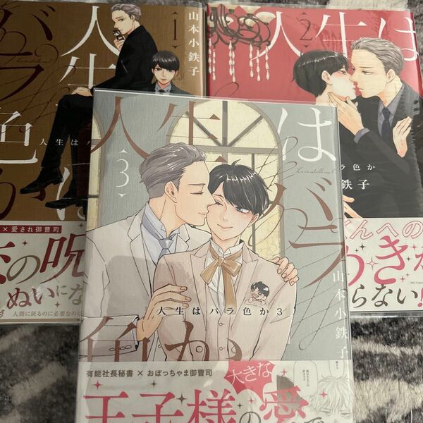 人生はバラ色か 1〜3巻/山本小鉄子