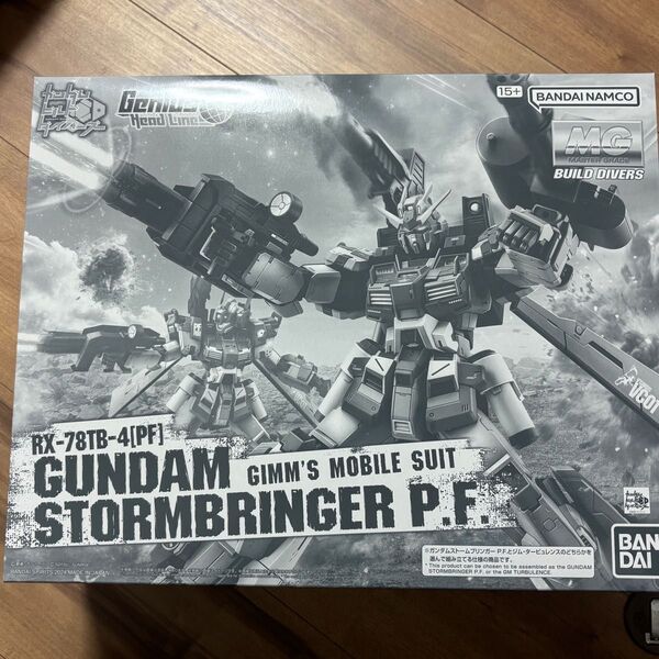 MG 1/100 ガンダムストームブリンガー P.F. & MG 1/100 ガンダムストームブリンガー F.A. 2体セット