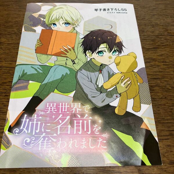 異世界で姉に名前を奪われました 琴子書き下ろしSS、特典のみ特典のみ