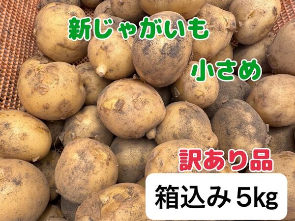 新じゃがいも◆箱込み5kg◆鹿児島県産◆小さめ訳あり規格外◆農家直送