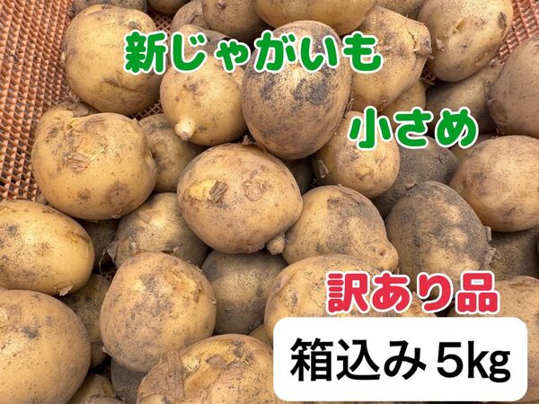 新じゃがいも◆箱込み5kg◆鹿児島県産◆小さめ訳あり規格外◆農家直送