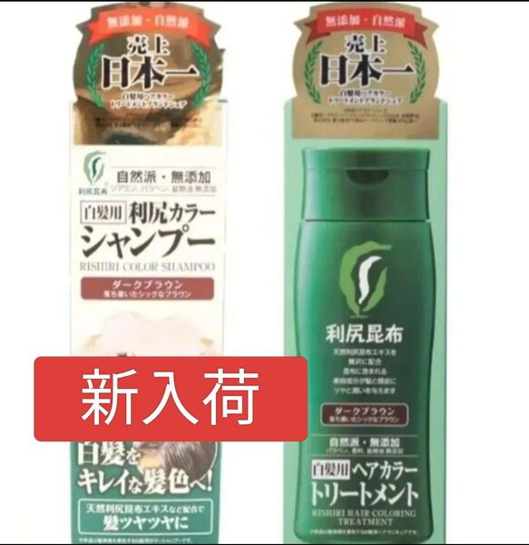 【セット販売】 利尻カラーシャンプーダークブラウン1本/利尻ヘアカラートリートメントダークブラウン1本