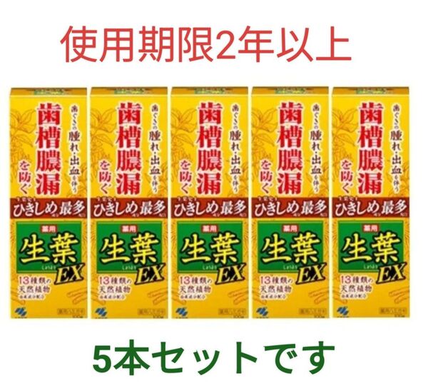 小林製薬 生葉EX100 g×5 本セット ※使用期限2年以上