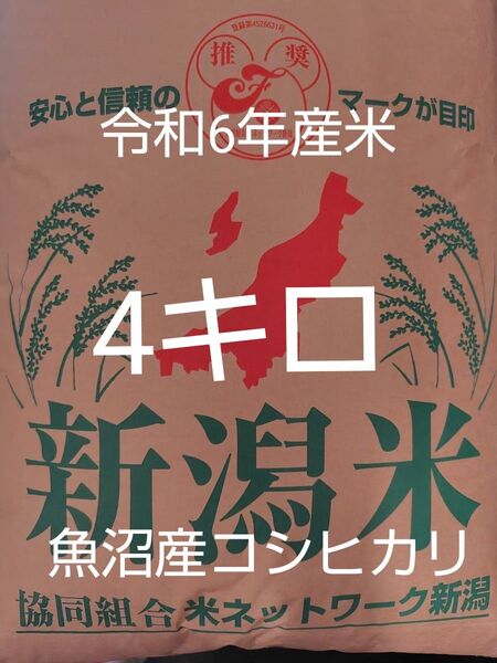 魚沼産コシヒカリ 令和6年産 精米4キロ