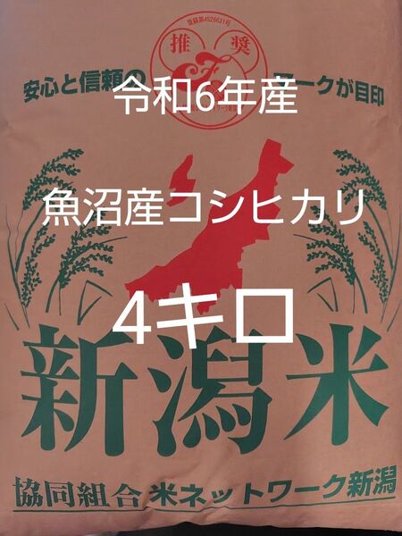 魚沼産コシヒカリ 令和6年産 4キロ 精米