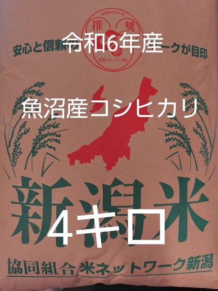 魚沼産コシヒカリ 令和6年産 4キロ 精米