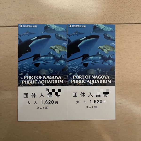 名古屋港水族館 入場券 2枚