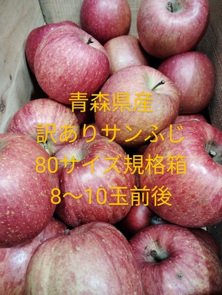 青森県産 訳ありサンふじ りんご