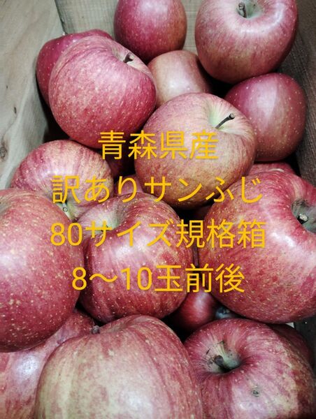 青森県産 訳ありサンふじ りんご