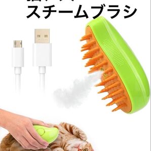 ブラシスチーム シェイプコーム 電動 グルーミングスプレーブラシ USB 充電式